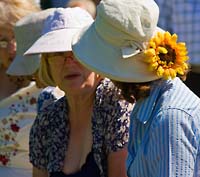 Blommor